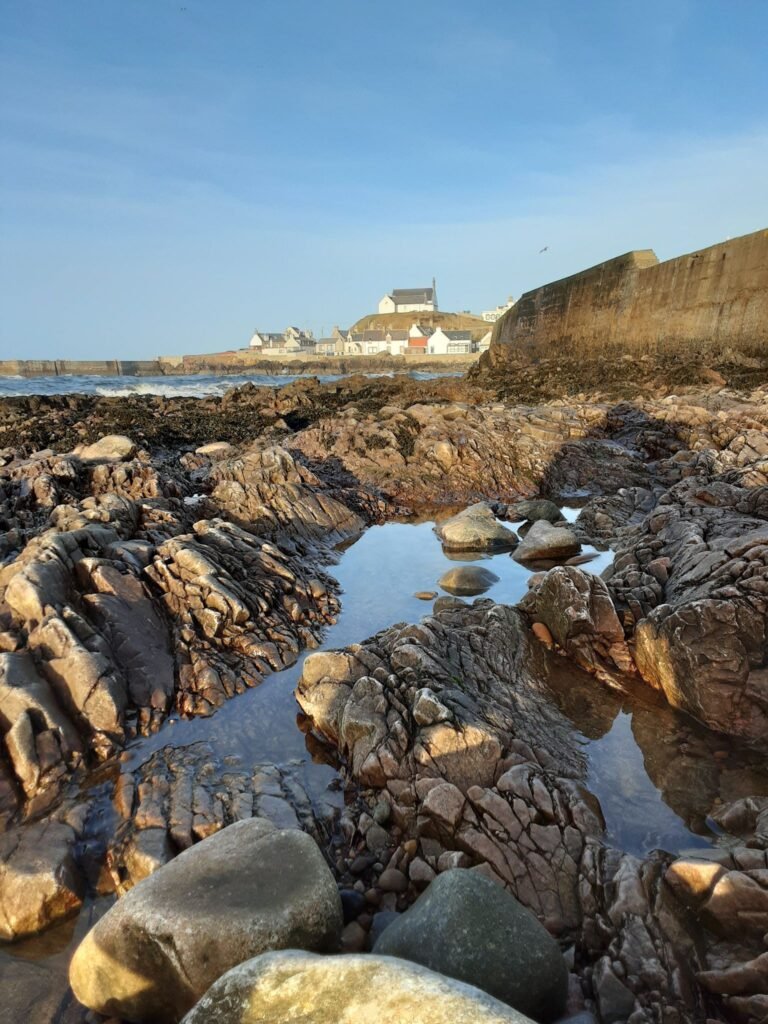 Rocky shoreline below the harbour wall.