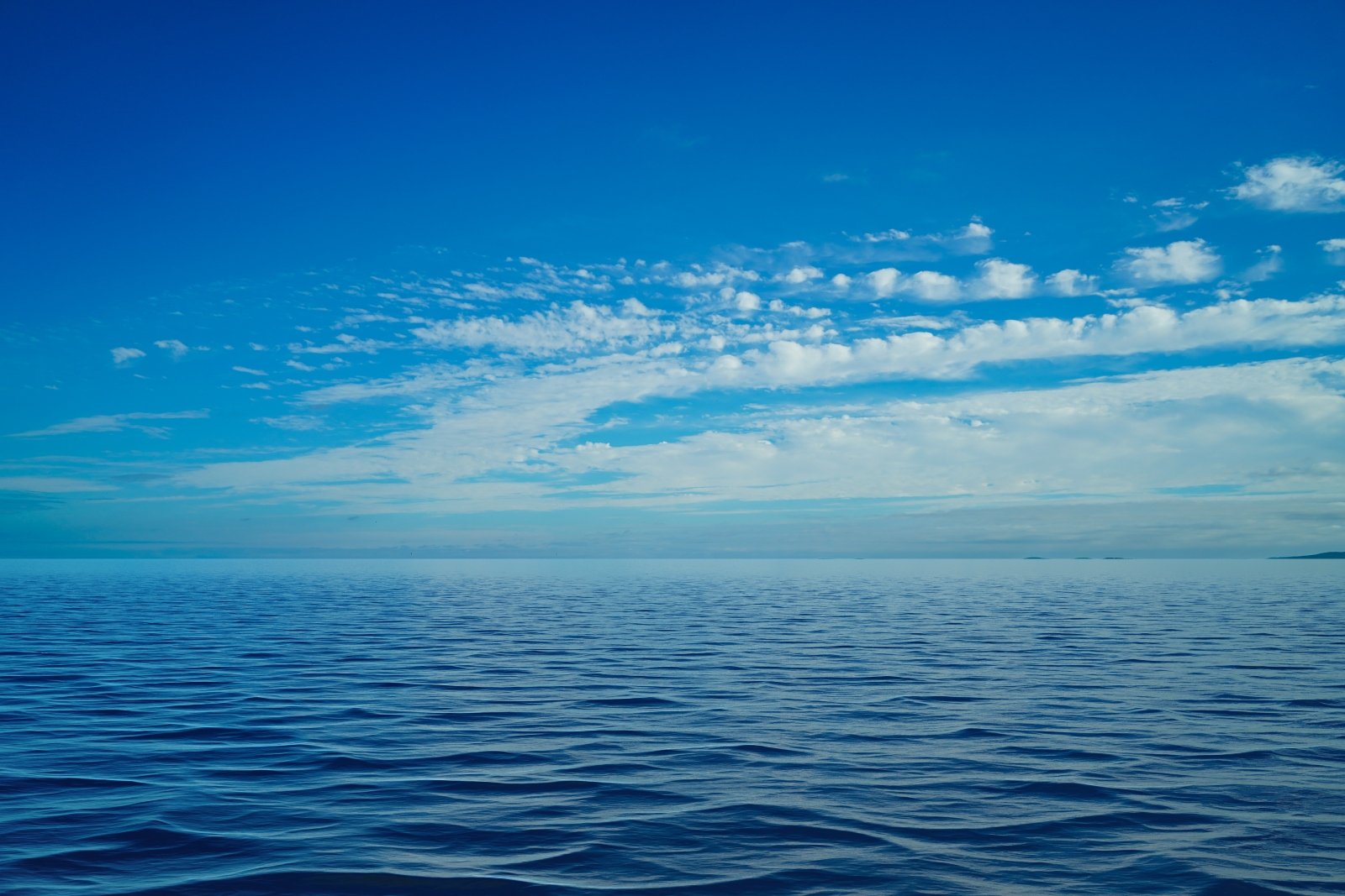 Open ocean beneath a blue sky, with gentle waves stretching towards the horizon.