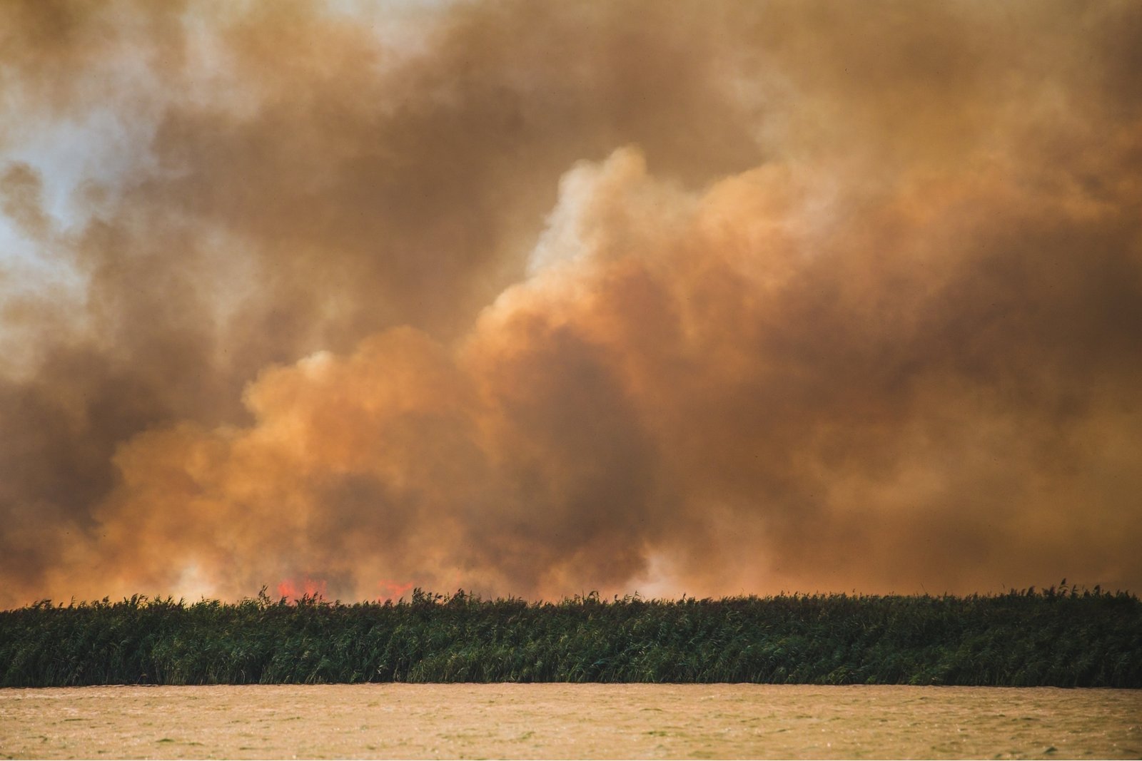 Wildfire burning across open vegetation, producing a large cloud of dense brown and orange smoke.